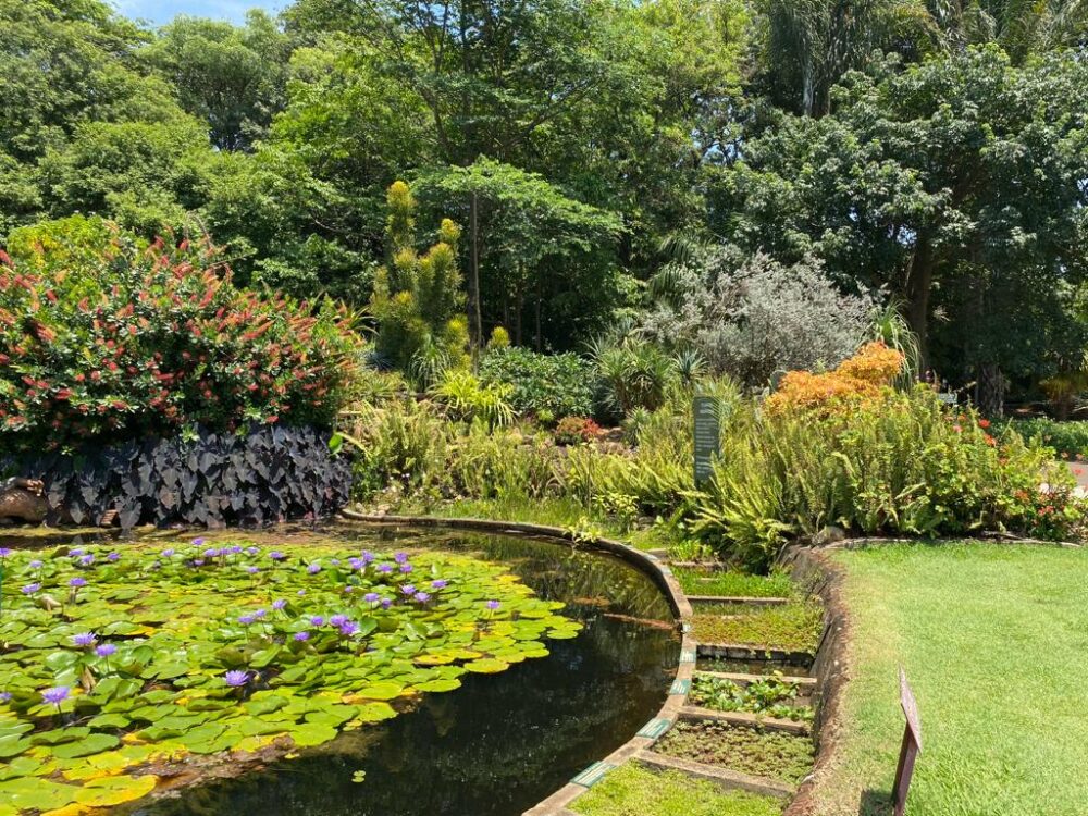 Qual o principal objetivo do paisagismo No coração do paisagismo reside um propósito profundamente conectado à nossa qualidade de vida e ao ambiente que nos cerca.