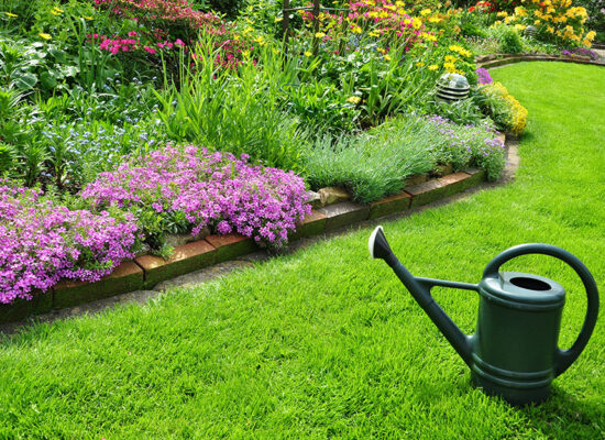 Guia Completo para a Escolha do Gramado Perfeito, Dicas da Lily Garden em Sorocaba. A importância de escolher e cuidar do gramado para transformar seu jardim.