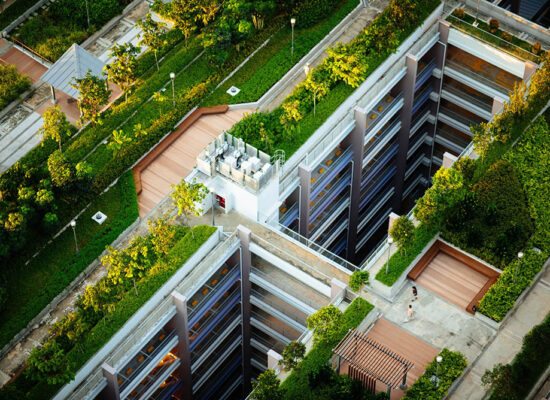 Plantas Adaptadas ao Clima Urbano, Como Escolher para a Cidade. Vamos ver os tipos de plantas ideais para o ambiente urbano, seja para enfeitar a calçada, a fachada de casas ou empresas.